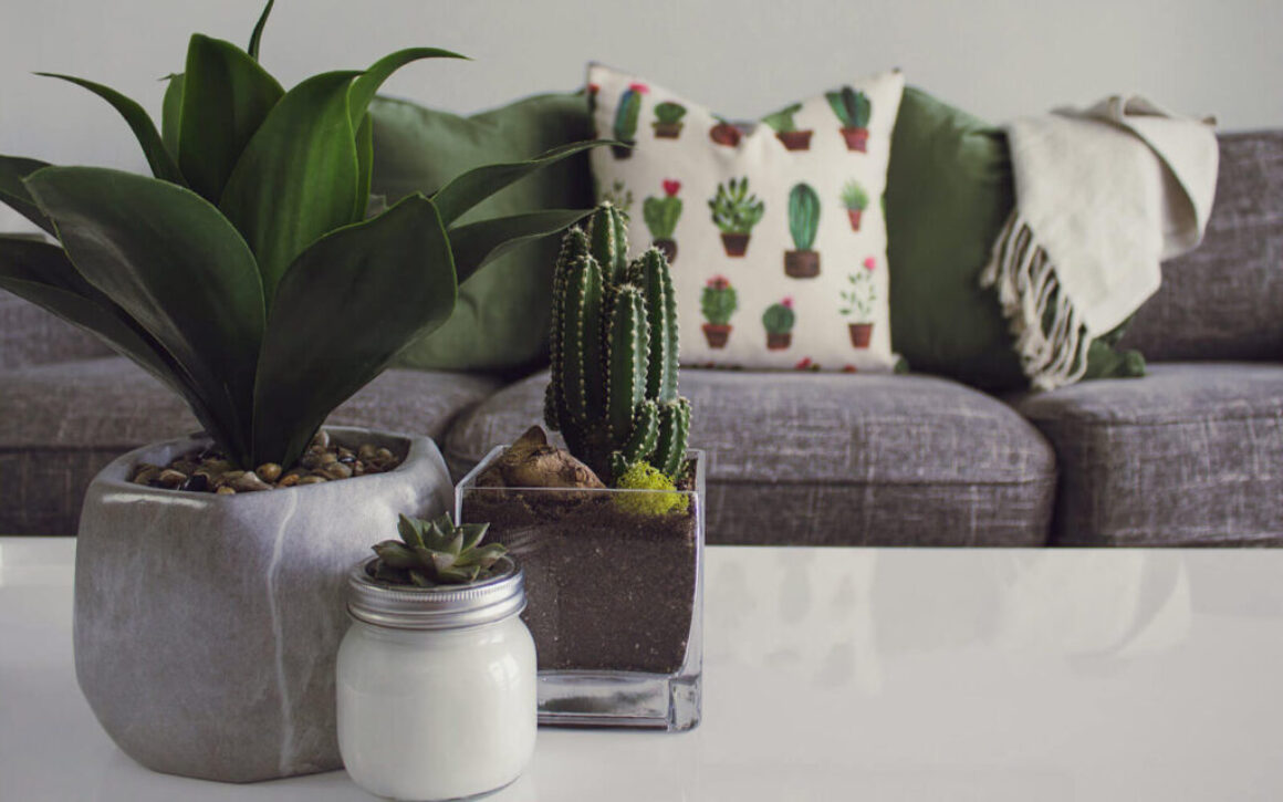 Mastering Minimalism: The Art of Simplified Design